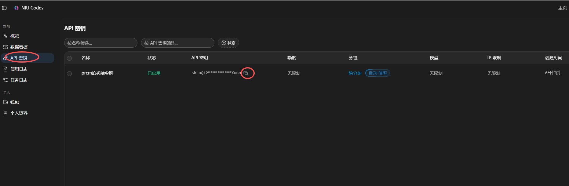 API 密钥页面